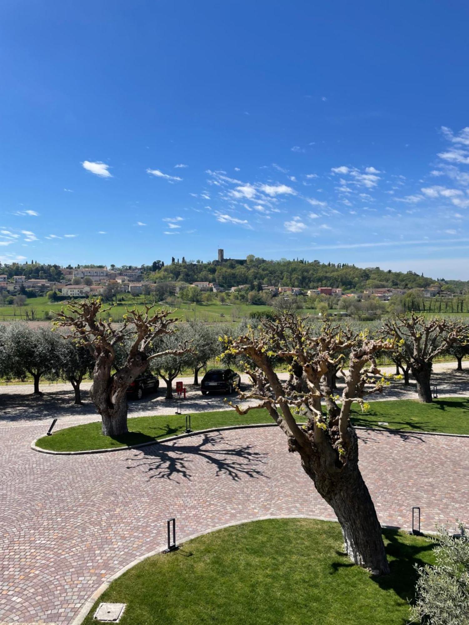 Agriturismo Relais La Casina Cavriana Dış mekan fotoğraf